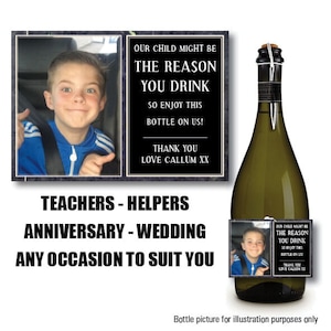Etichetta personalizzata per bottiglia di vino con foto personalizzata Gin Prosecco Champagne Vodka Insegnante Scuola Potrei essere il motivo Novità Regalo di Natale 48