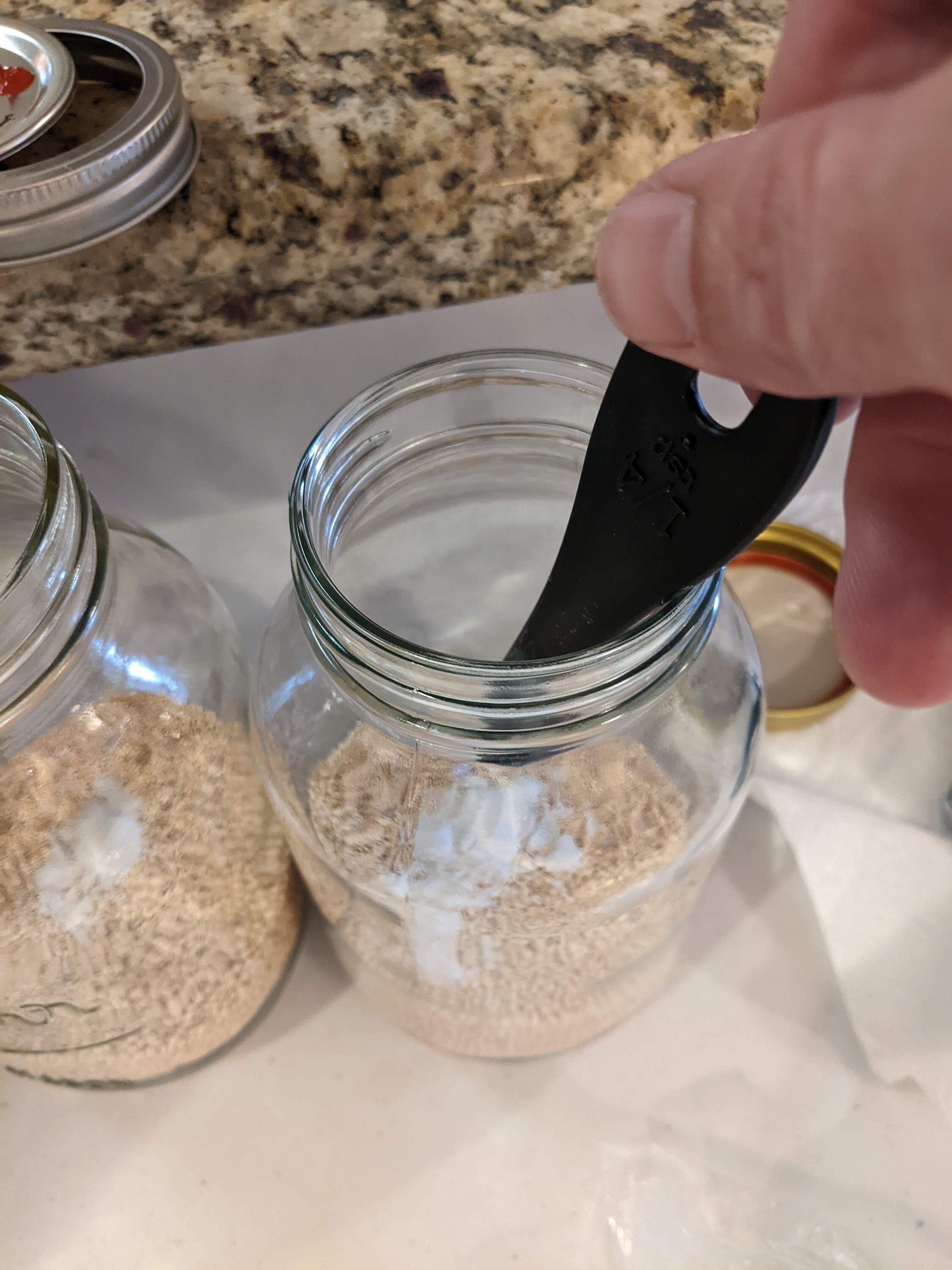 4 X 32 Oz. White Millet Grain Spawn Jars - Sterilized With Injection ...