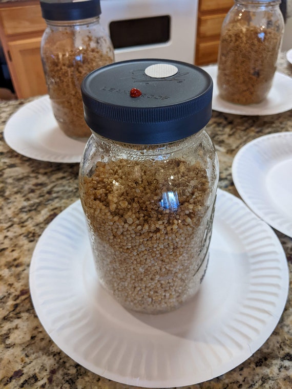 32 Oz. White Millet Grain Spawn Jars Presterilized Jars Etsy