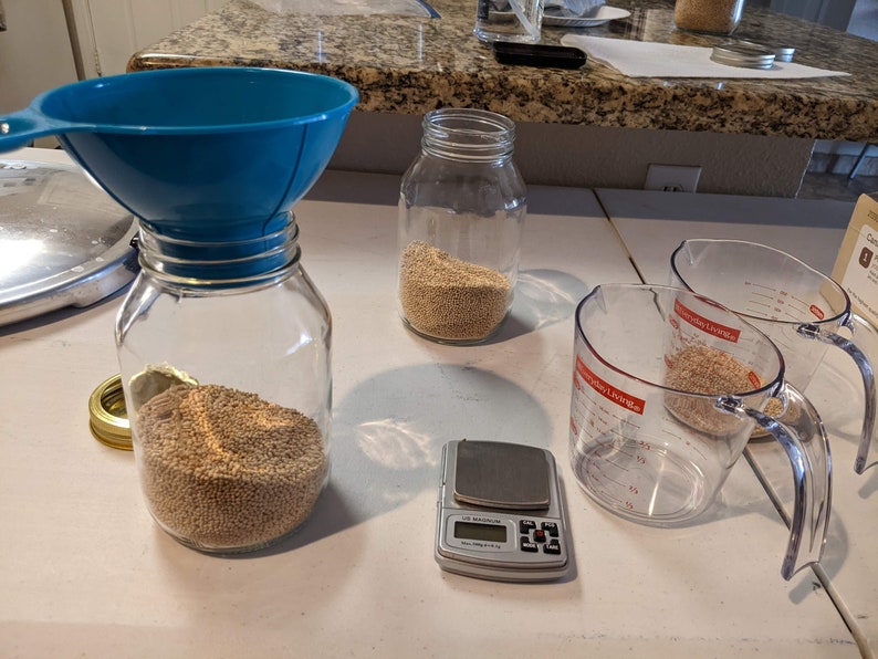 4 X 32 Oz. White Millet Grain Spawn Jars Sterilized With Injection Ports and Fresh Air Exchange