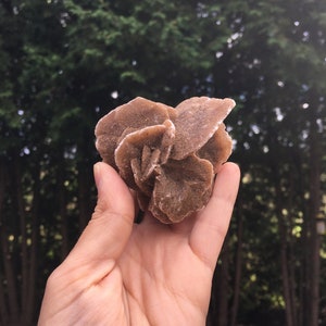 Desert Rose #F (crystal, mineral, specimen, druzy, quartz, tower, sphere, rare)