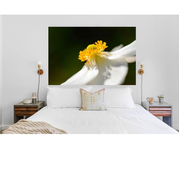 Digital Download Wall Art Digital Download Print Digital Download Photography Digital Background Digital Photo Art for Wall Anemone Picture