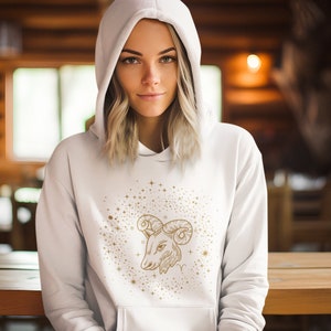 Aries Hoodie Aries Gift, Astrology Sweatshirt, Aries Birthday Gift, Zodiac Sign Sweatshirt, Gift For Her, Aries Pullover Aries Birthday Gift