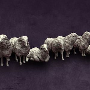 Sheep | Reconquer Designs | Historical