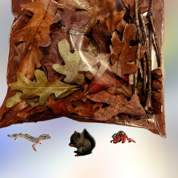 One Gal. Bag Mixed hardwood Oak leaf litter, Terrarium Decor, Reptile, Hermit Crab, Reptile, Isopod, Crabitat, millipede