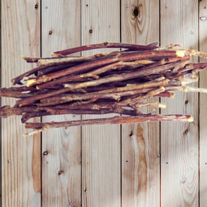 10+ Black Cherry Tree Cuttings Rum Cherry Whisky Cherry American Cherry Prunus Serotina, Mountain Black Cherry