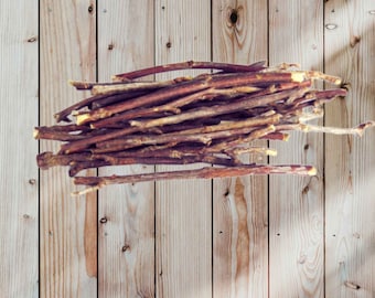 10+ Black Cherry Tree Cuttings: Prunus Serotina Scions, Grafting