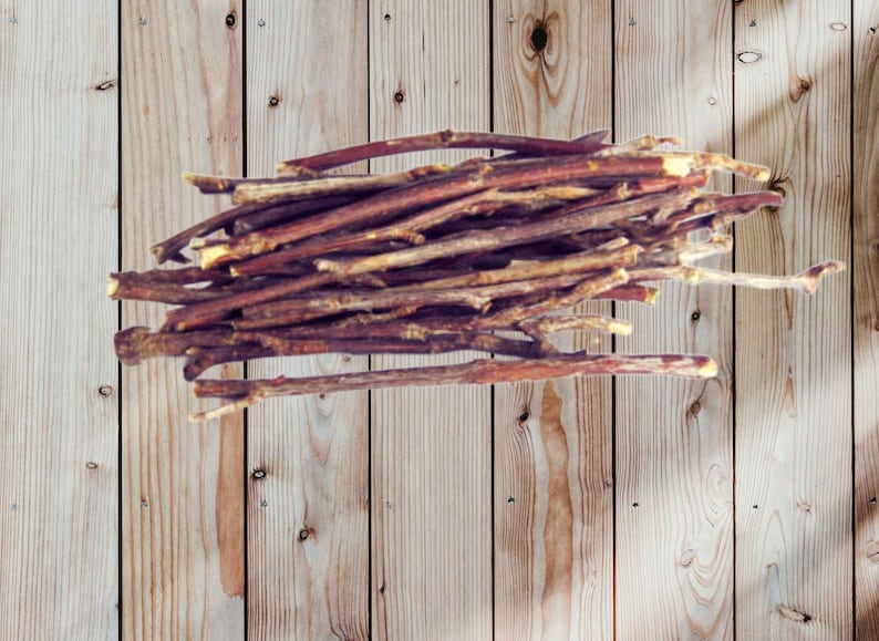 Black Cherry Tree Cuttings Rum Cherry Whisky Cherry American Etsy