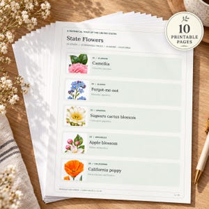 Puede incluir: Una pila de diez páginas imprimibles titulada A Botanical Tour of the United States State Flowers. Cada página presenta ilustraciones de flores estatales, incluyendo la camelia, el nomeolvides, la flor de cactus Saguaro y la amapola de California.