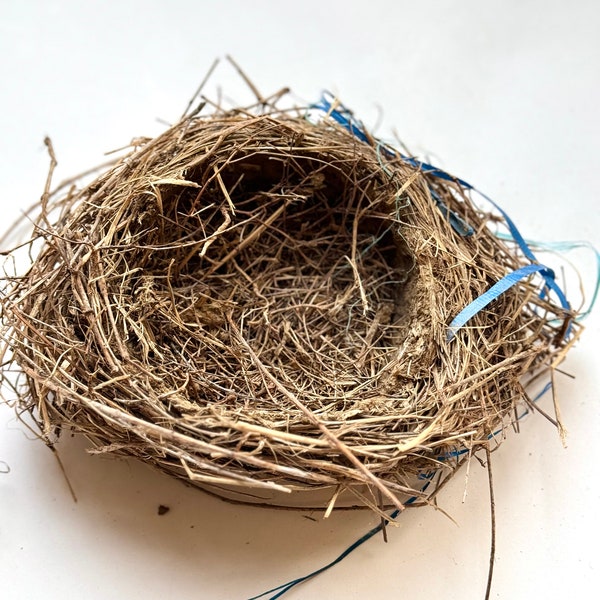 Real Bird Nest, Natural Large Bird Nest, Forest Art, Forestcore, Cottagecore