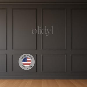 May include: Dark gray wall paneling with rectangular frames and a light wood floor. A circular sticker with the American flag and the text "SHIPS FROM NJ, USA" is affixed to the wall. The word "olidyl" is written on the wall.