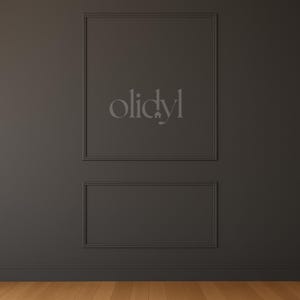 May include: A dark gray wall with two rectangular framed panels. The word "olidyl" is displayed in a light gray font within the upper panel. The wall is above a wooden floor.