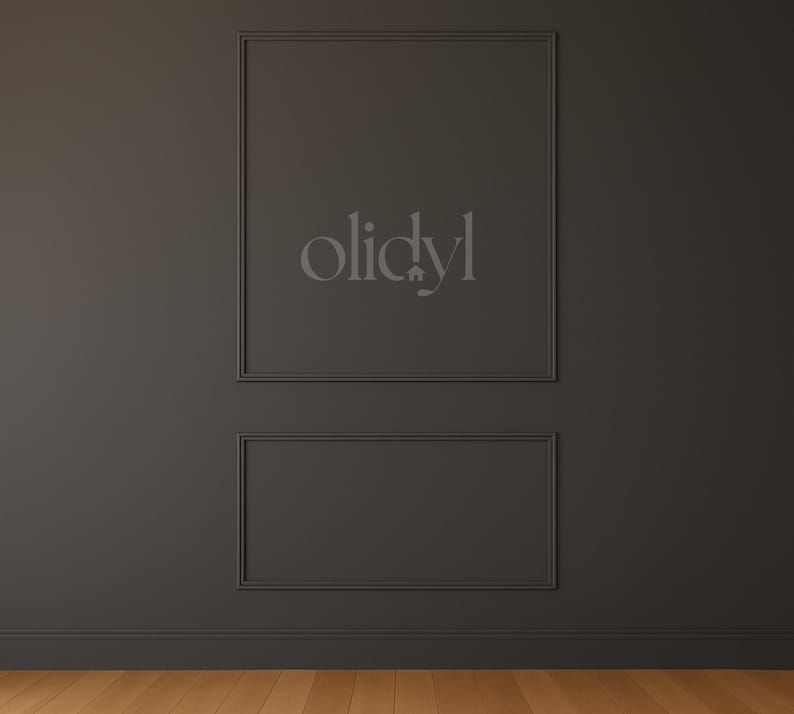 May include: A dark gray wall with two rectangular framed panels. The word "olidyl" is displayed in a light gray font within the upper panel. The wall is above a wooden floor.