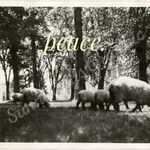 Vintage Printable Poster