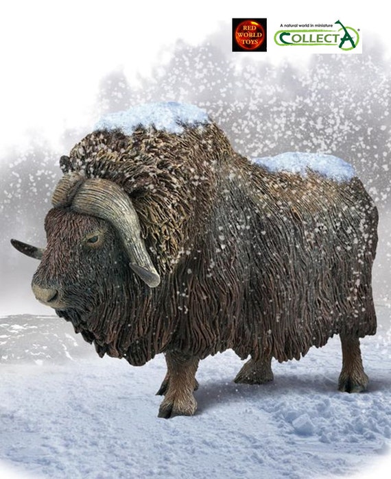 Model Musk Ox Plastic Toy Wildlife Figure for Cakes or Wildlife Dioramas