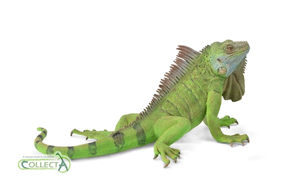 Iguana Lizard Plastic Toy Model Figure for Diorama Vivarium or Cake Topper