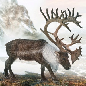 Model Reindeer Woodland Caribou Plastic Toy Figure for Wildlife or Christmas displays