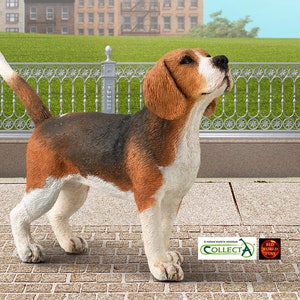 Mini beagles for sale cheap