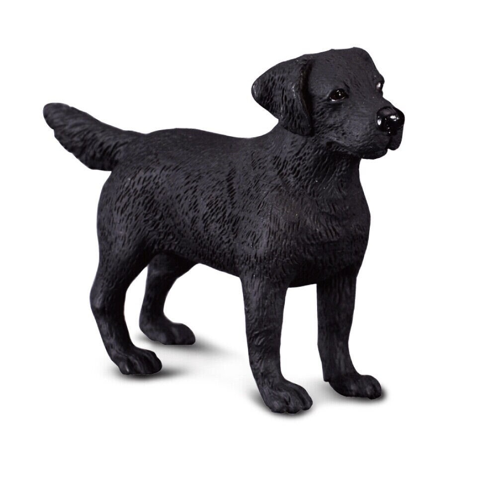 Onhandig zomer Verkoper Zwarte Labrador Retriever Hond of Puppy Plastic Speelgoed - Etsy België