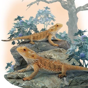 Bearded Dragon Lizard Plastic Toy Model Figure for Diorama Vivarium or Cake Topper