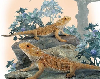 Bearded Dragon Lizard Plastic Toy Model Figure for Diorama Vivarium or Cake Topper