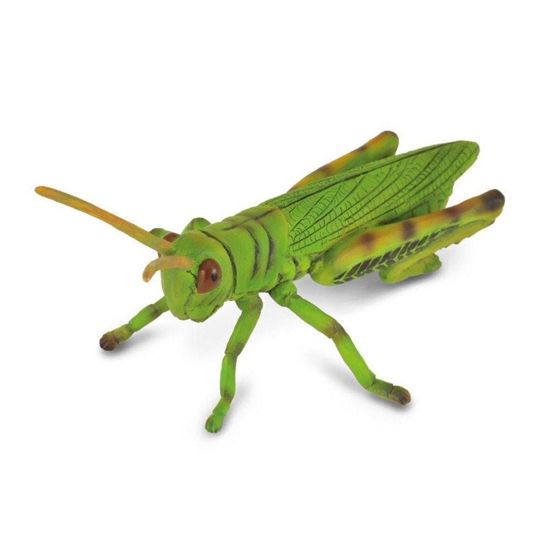 Grasshopper Insect Plastic Toy Model Figure for Crafts or Flower