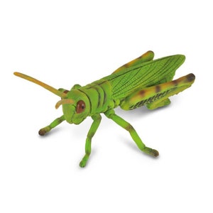 Model Grasshopper Insect Plastic Toy Figure for Crafts or Flower Arrangements