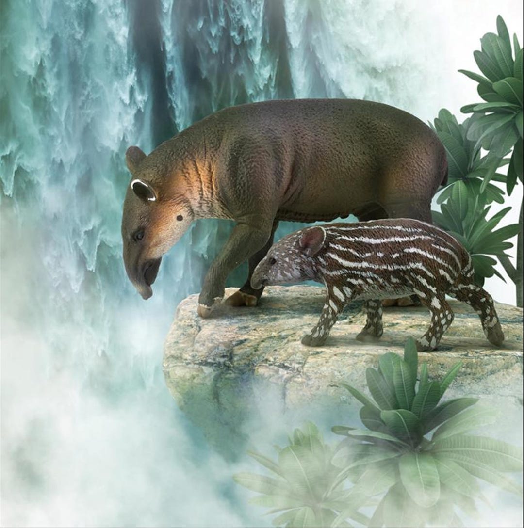 ※Dream Tapir※ il_1080xN.6784984820_pr71.jpg