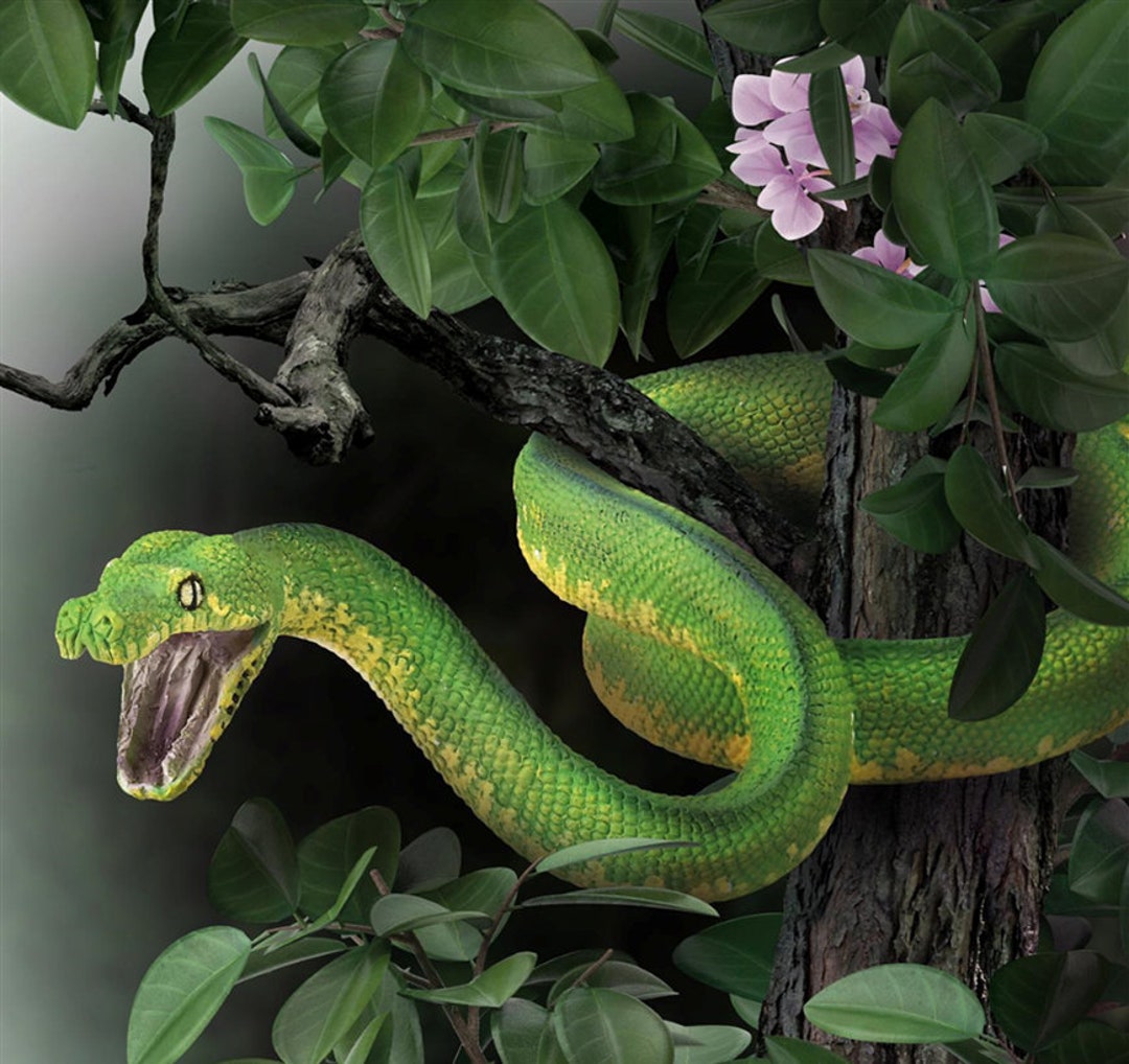 Plastic snake clearance vivarium