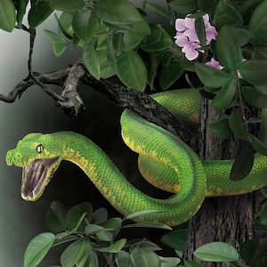 Model Green Tree Python Snake Plastic Toy Figure for Diorama Vivarium or Cake Topper