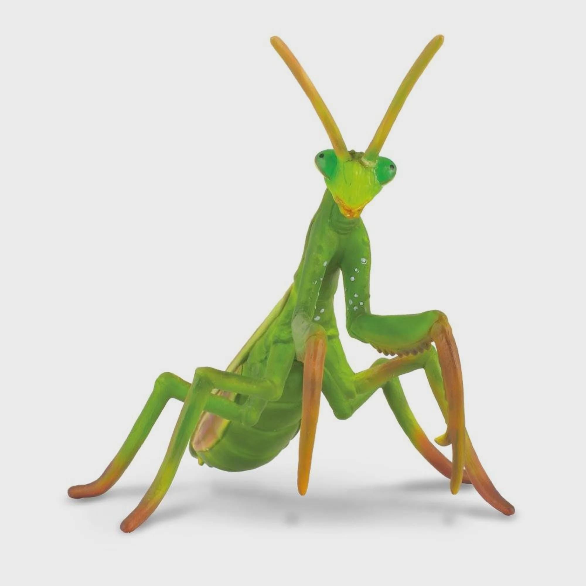 Praying Mantis Plastic Toy Model Figure for Diorama Vivarium or