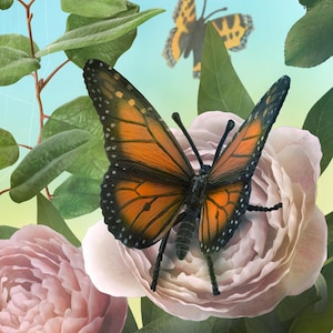 Butterfly Models for Cake Toppers or Flower Arrangements