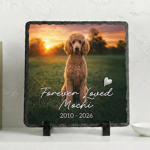 May include: Square slate memorial plaque featuring a photo of a brown poodle sitting in a grassy field at sunset. The text "Forever Loved Mochi" and dates 2010-2026 are written in white script. A white heart is also included.