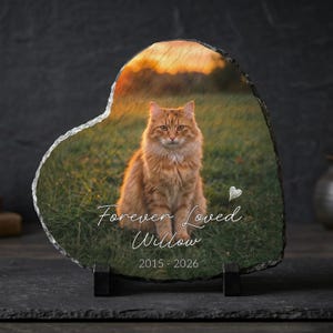 May include: A heart-shaped slate plaque featuring a printed photograph of an orange cat sitting in a grassy field at sunset. The text reads Forever Loved Willow 2015 - 2026 with a small heart icon. The plaque is supported by two black stands.