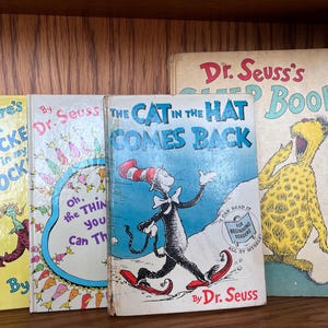 Lot von 4 Büchern 1st Edition von Dr. Suess Die Katze mit dem Hut kommt zurück, Schlafbuch, Dinge, die Sie tun können, wocket in meiner Tasche