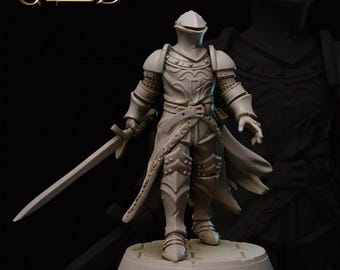 Krigare Fighter Riddare med ett svärd 3D-tryck och målning DnD Pathfinder Fantasy Rpg Bordsskiva Ttrpg Npc