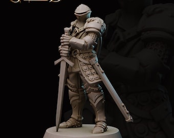 Warrior Fighter Knight 3d Print and Painting DnD Pathfinder Fantasy RPG Tabletop TTRPG NPC