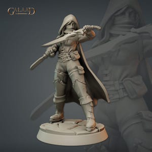 Female Thief Rogue Assassin Bandit  Warrior 3d Print and Painting DnD Pathfinder Fantasy RPG NPC
