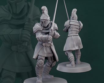 Male Fighter Warrior Knight with  bastard sword 3d Print and Painting DnD Pathfinder Fantasy Rpg Tabletop Ttrpg Npc