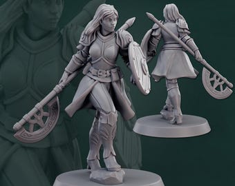 Kriegerin Kämpfer mit Axt und Schild 3D Druck und Gemälde D&D Pathfinder Fantasy Rpg Tabletop Ttrpg NPC