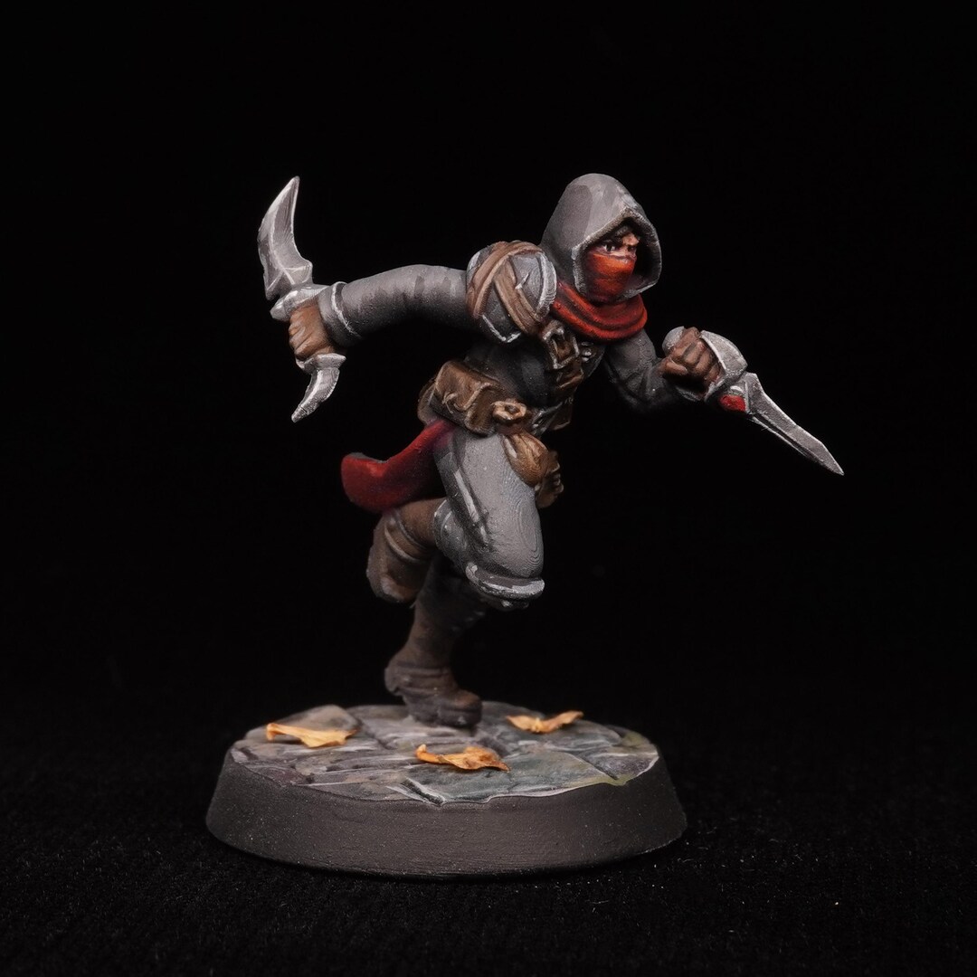 Pro Painted Miniature Humanoid Rogue Assassin RPG Dnd Dungeons and ...