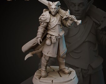 Tiefling Swordsman Fighter Warrior 3d Print and Painting DnD Pathfinder Fantasy RPG NPC