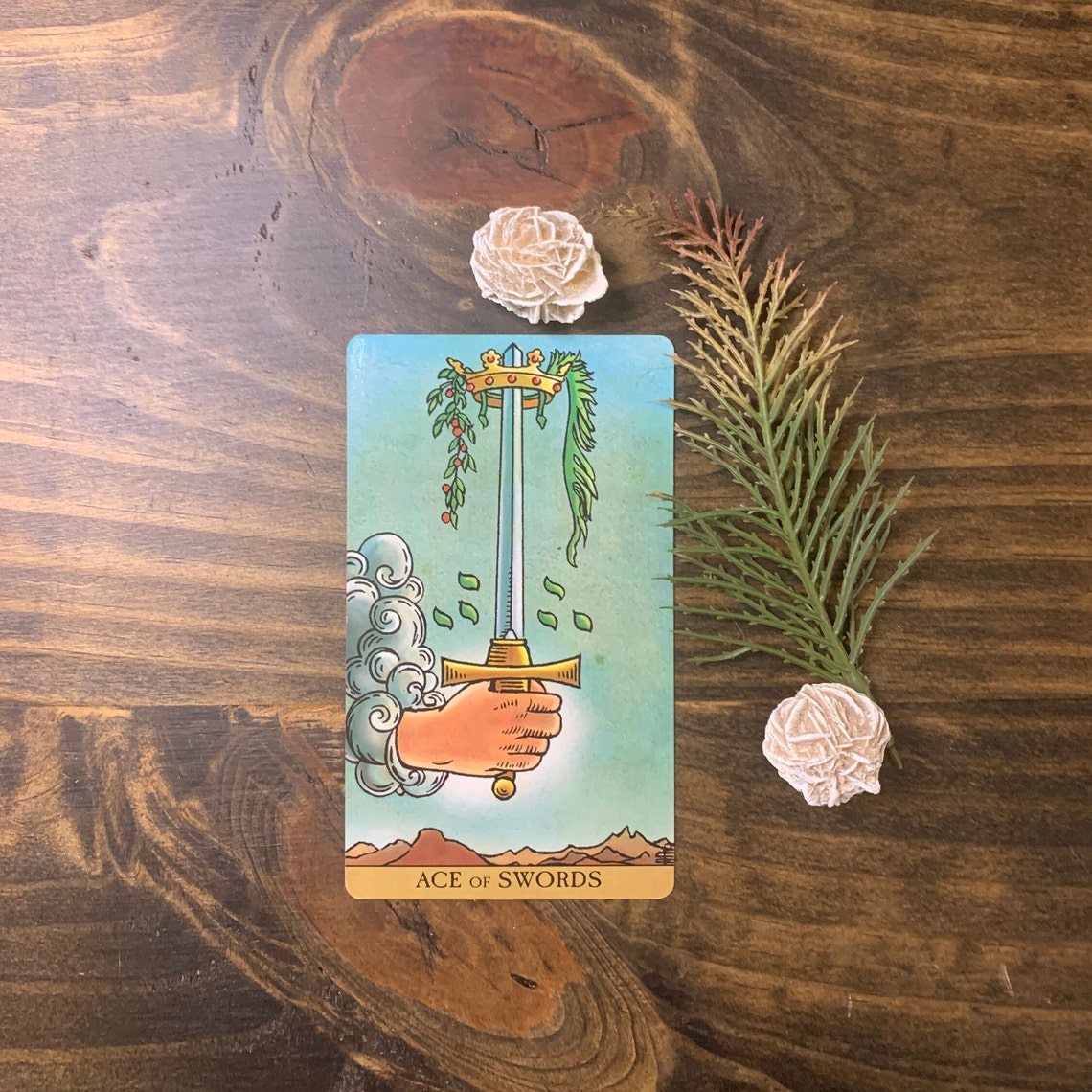 One Card Tarot Reading/tarot Card Reading/daily Tarot Card Etsy