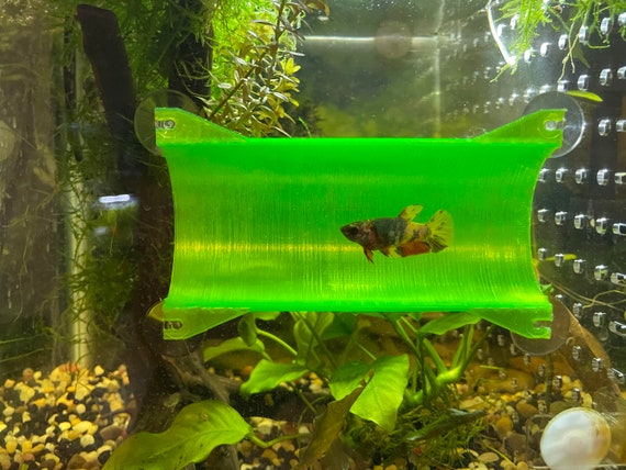 Aquarium Decor Small Betta Fish Hide Tunnel -  Canada