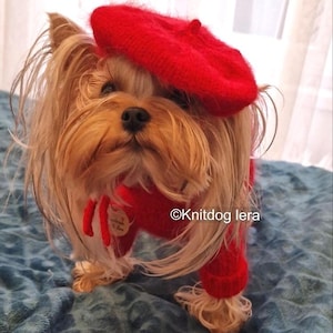 Knitted dog sweater, Handmade dog sweater, Dog sweater, Pet hoodie, Knitting dog vest, Dog jumpsuit, Sweater for a dog, Dog coat , Exclusive