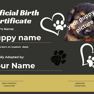 Huisdier Geboorteakte voor u mooie dier kies puppy of kitten