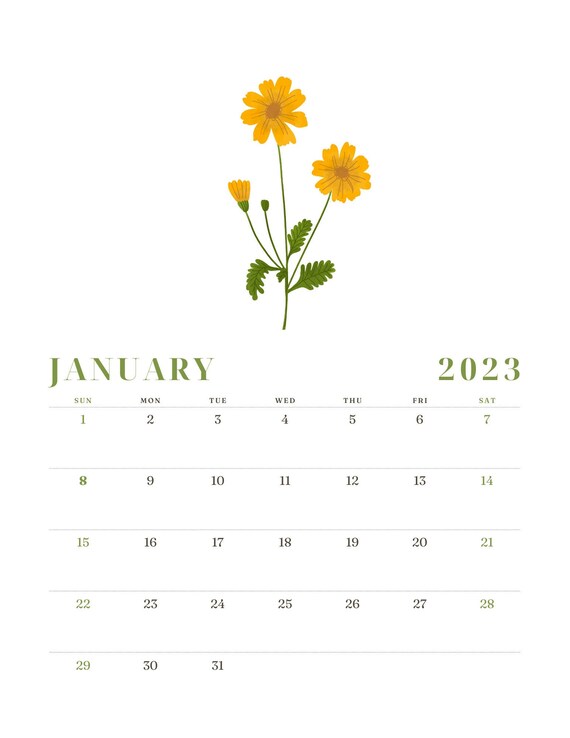 2023 Calendar 12 Month Digital Calendar PDF for Print Flowers Etsy