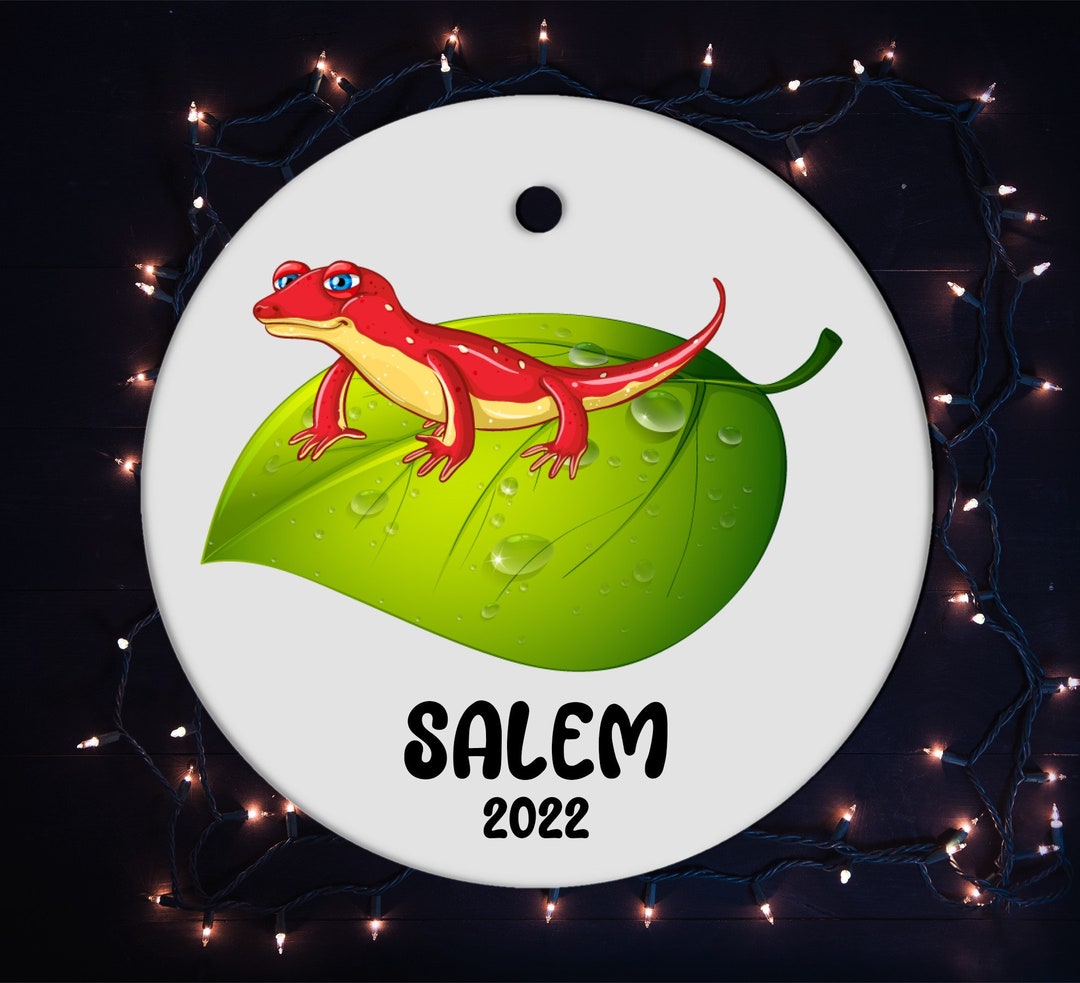 Lizard Christmas Tree Ornament Lizard Personalized Gift Etsy