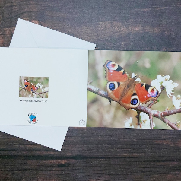 PEACOCK BUTTERFLY Greeting Card | Aglais io | Wildlife Greeting Card | Blank Butterfly Greeting Card | Nature Card | Insect Card