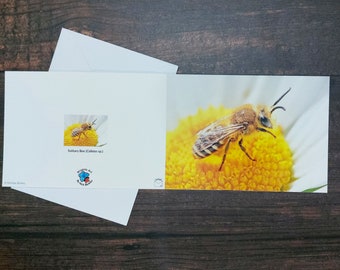 SOLITARY BEE Greeting Card | Colletes sp. | Wildlife Greeting Card | Blank Bee Greeting Card | Nature Card | Insect Card | Insect | Bug